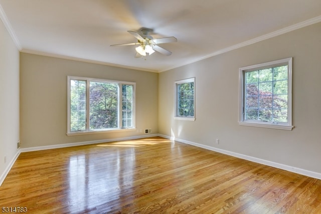 unfurnished room with ceiling fan, light wood-type flooring, and crown molding