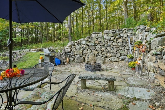 view of patio / terrace with a grill and a fire pit