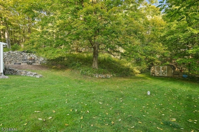 view of yard with a shed