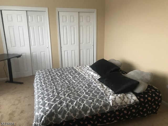 carpeted bedroom with two closets