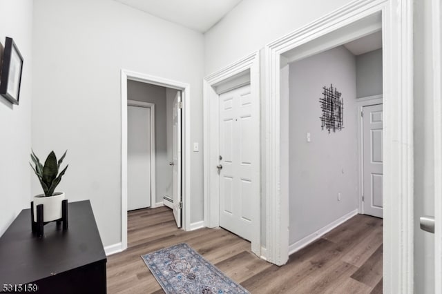 hall featuring wood-type flooring