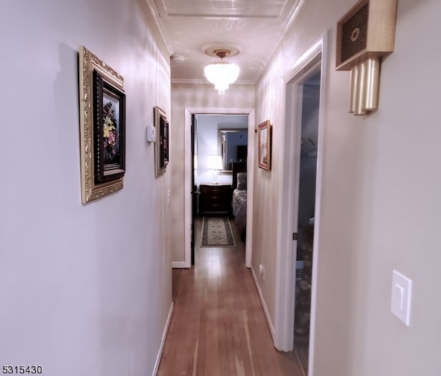 corridor featuring crown molding and hardwood / wood-style flooring