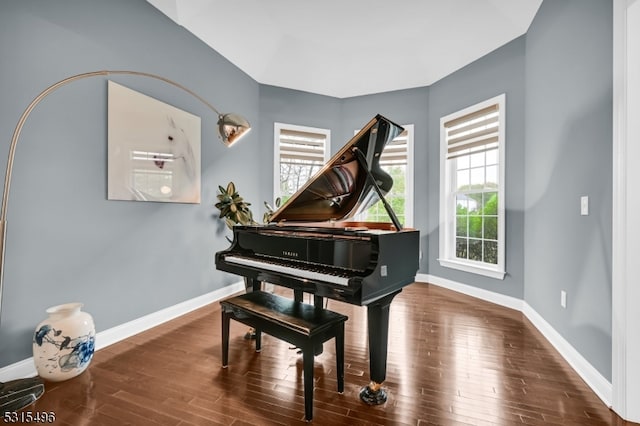 miscellaneous room featuring plenty of natural light and dark hardwood / wood-style floors