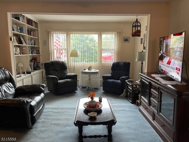 living room featuring carpet