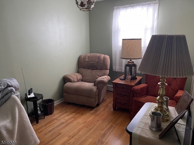 living room with light hardwood / wood-style floors