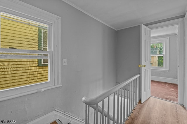 interior space featuring crown molding and light hardwood / wood-style floors