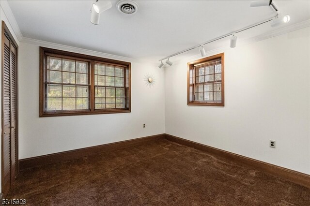 carpeted empty room with track lighting, a wealth of natural light, and crown molding