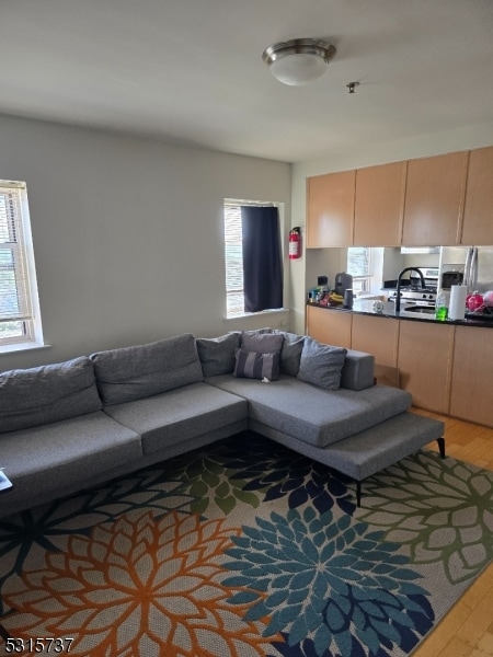 living room with wood-type flooring and sink