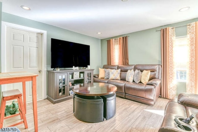 living room featuring light hardwood / wood-style flooring