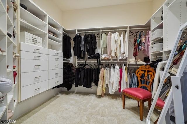 spacious closet with light colored carpet