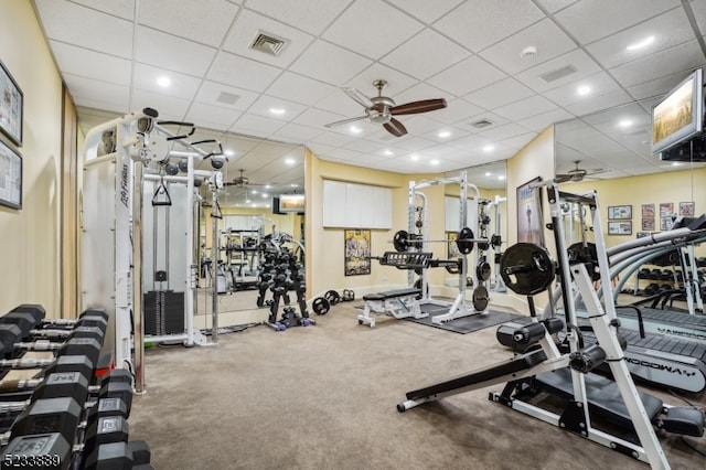 gym featuring a drop ceiling, carpet, and ceiling fan