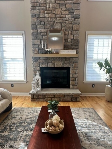 living room featuring a fireplace and hardwood / wood-style floors