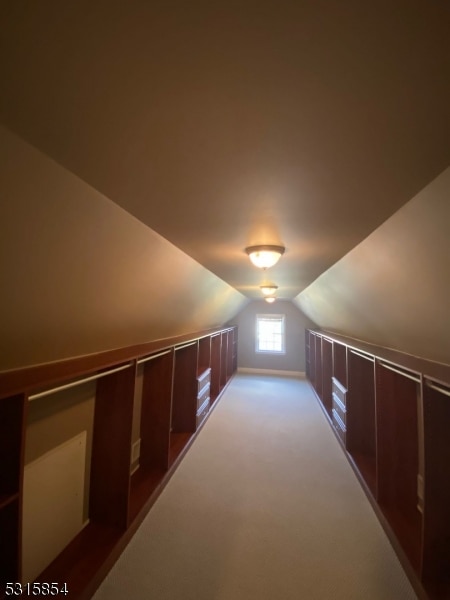 additional living space with light colored carpet and vaulted ceiling