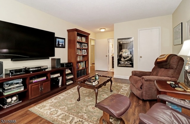 living room featuring hardwood / wood-style floors