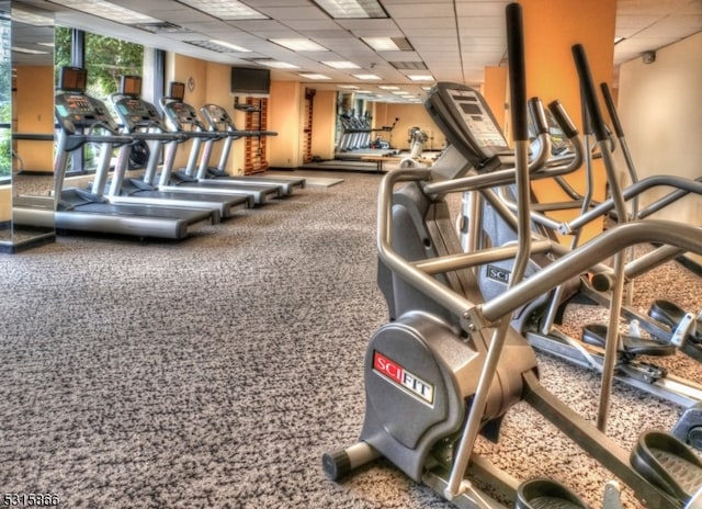 exercise room with a paneled ceiling and carpet