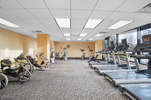 workout area with carpet and a paneled ceiling