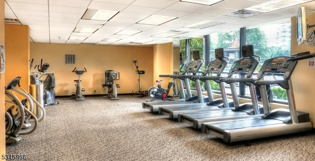 workout area with carpet, plenty of natural light, and a paneled ceiling