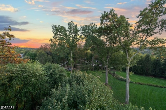 view of yard at dusk