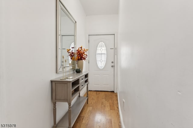 doorway to outside featuring light wood-type flooring