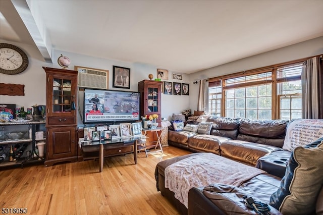 living room featuring light hardwood / wood-style floors