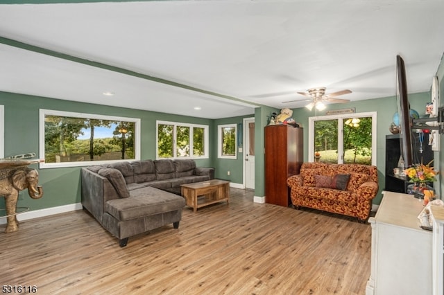 living room with light hardwood / wood-style floors and ceiling fan