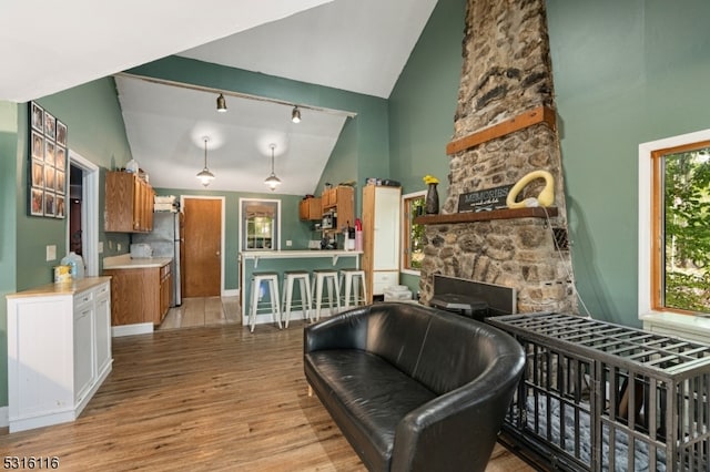 interior space featuring rail lighting, light hardwood / wood-style floors, high vaulted ceiling, a stone fireplace, and stainless steel appliances