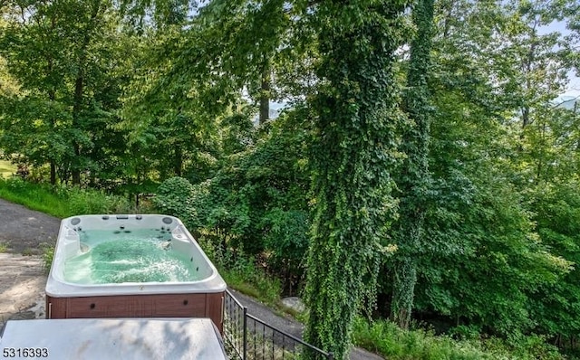 details featuring a jacuzzi