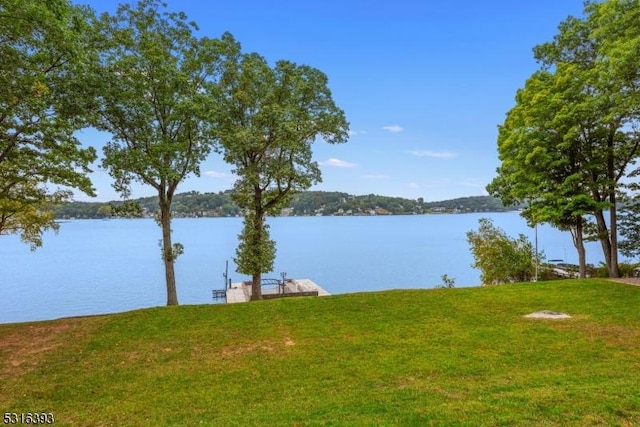 water view featuring a boat dock
