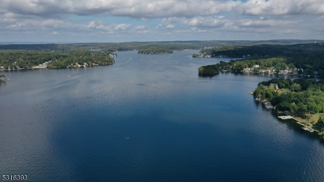 aerial view with a water view and a view of trees