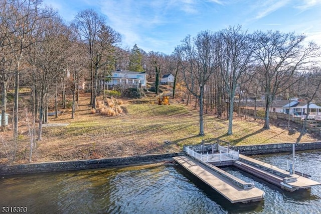 dock area with a water view