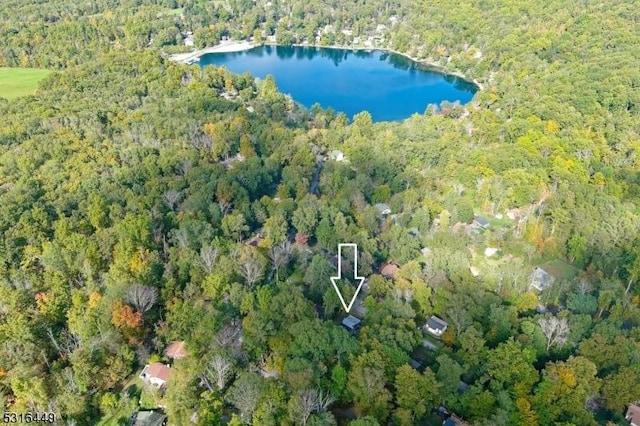 bird's eye view with a water view and a wooded view