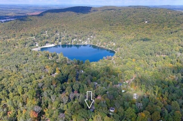 birds eye view of property with a water and mountain view and a view of trees