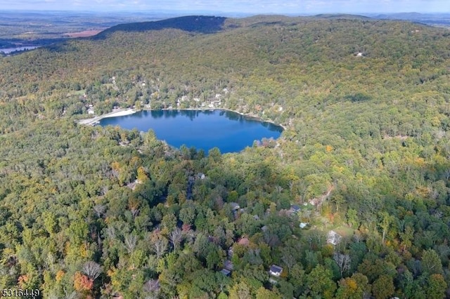 bird's eye view with a view of trees and a water and mountain view
