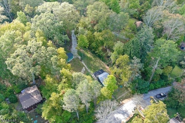 aerial view with a wooded view