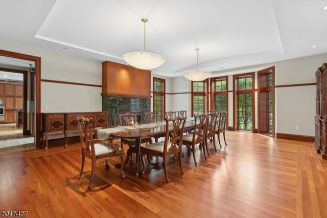 dining room with a tray ceiling and light hardwood / wood-style flooring