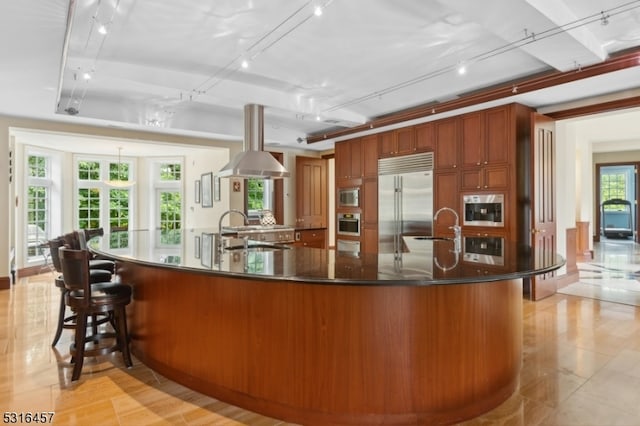 kitchen featuring a spacious island, built in appliances, sink, and a wealth of natural light