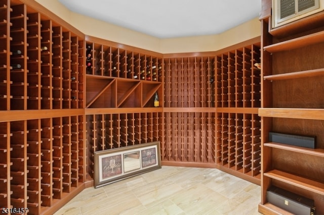 view of wine cellar