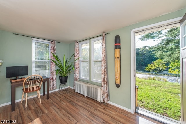 office featuring hardwood / wood-style floors, radiator heating unit, and a wealth of natural light