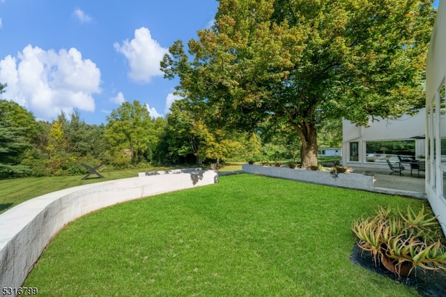 view of yard featuring a patio