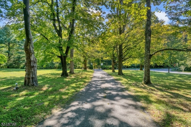 view of community with a lawn