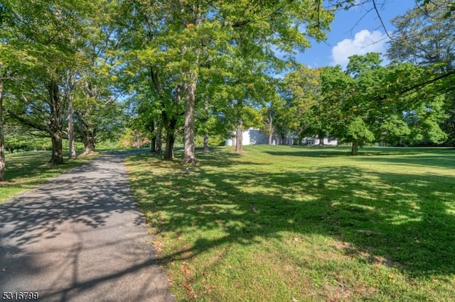 exterior space with a yard