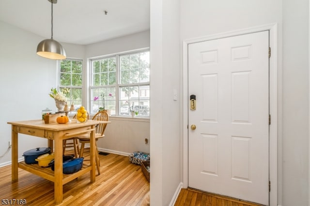 doorway to outside featuring wood-type flooring