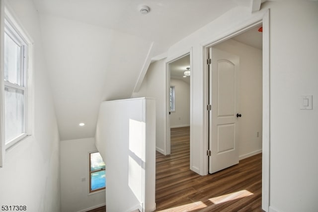 hall with lofted ceiling and dark hardwood / wood-style floors