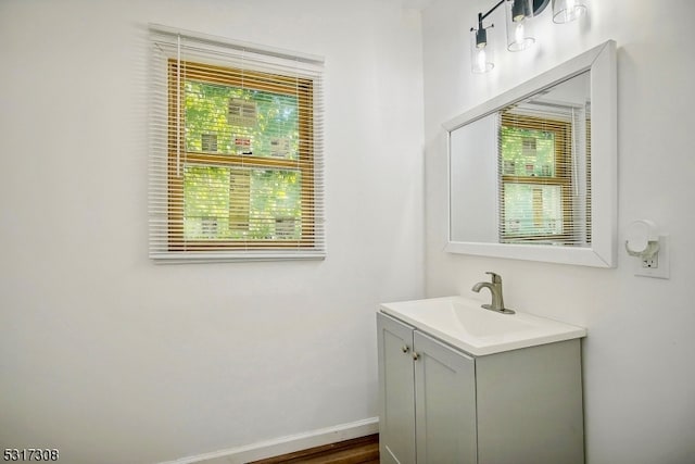 bathroom with vanity and wood-type flooring