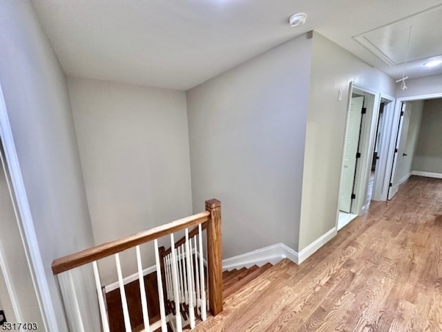 hall featuring light wood-type flooring