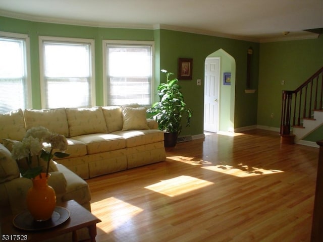 living room with light wood-type flooring and crown molding