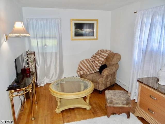 living area featuring wood finished floors