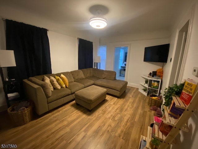 living room featuring hardwood / wood-style flooring