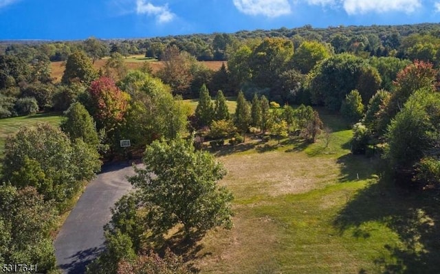 aerial overview of property's location featuring a forest