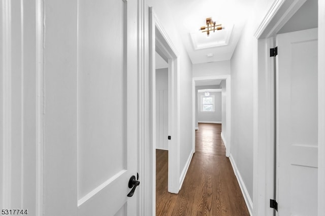 hallway featuring dark hardwood / wood-style floors